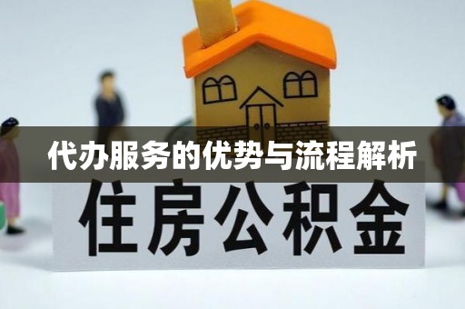 岳阳楼代办服务的优势与流程解析