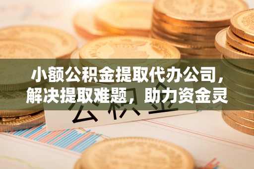 岳阳楼小额公积金提取代办公司，解决提取难题，助力资金灵活使用