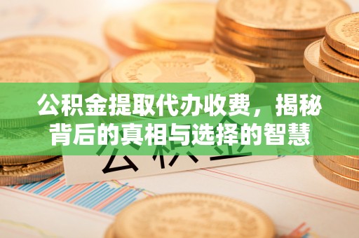 岳阳楼公积金提取代办收费，揭秘背后的真相与选择的智慧