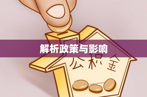 岳阳楼解析政策与影响