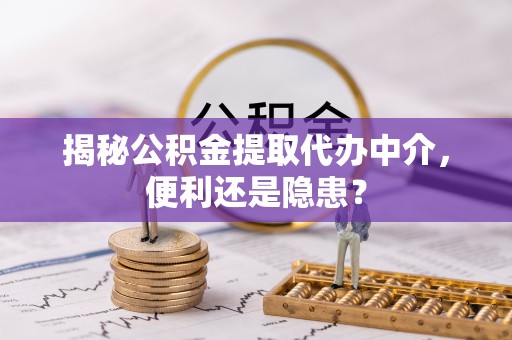 岳阳楼揭秘公积金提取代办中介，便利还是隐患？