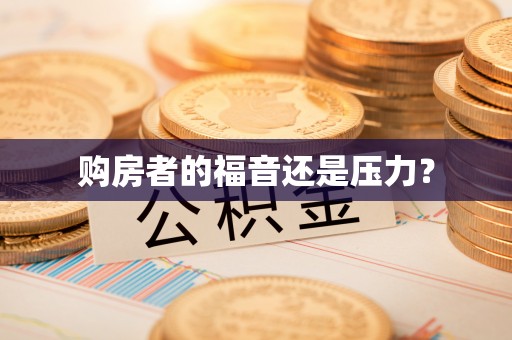 岳阳楼购房者的福音还是压力？