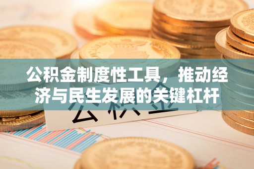 岳阳楼公积金制度性工具，推动经济与民生发展的关键杠杆