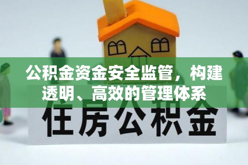 岳阳楼公积金资金安全监管，构建透明、高效的管理体系