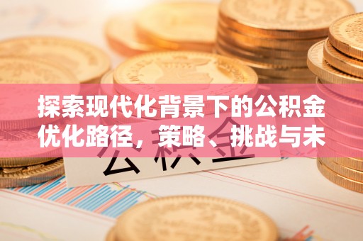 岳阳楼探索现代化背景下的公积金优化路径，策略、挑战与未来展望