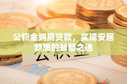 岳阳楼公积金购房贷款，实现安居梦想的智慧之选