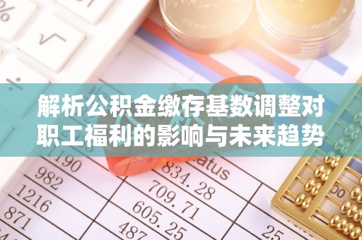 岳阳楼解析公积金缴存基数调整对职工福利的影响与未来趋势