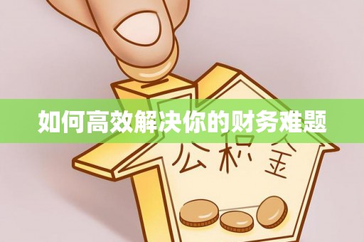岳阳楼如何高效解决你的财务难题