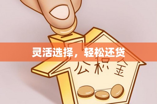 岳阳楼灵活选择，轻松还贷