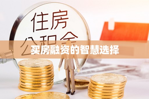 岳阳楼买房融资的智慧选择