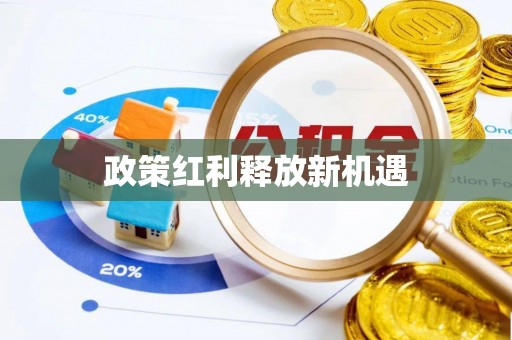 岳阳楼政策红利释放新机遇