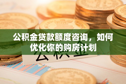 岳阳楼公积金贷款额度咨询，如何优化你的购房计划