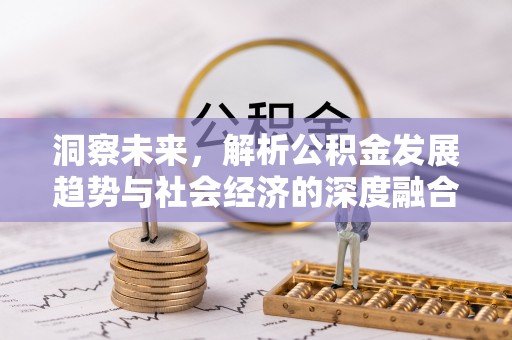 岳阳楼洞察未来，解析公积金发展趋势与社会经济的深度融合