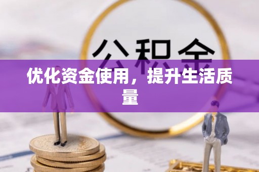 岳阳楼优化资金使用，提升生活质量