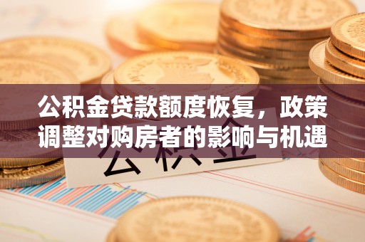 岳阳楼公积金贷款额度恢复，政策调整对购房者的影响与机遇