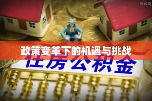 岳阳楼政策变革下的机遇与挑战
