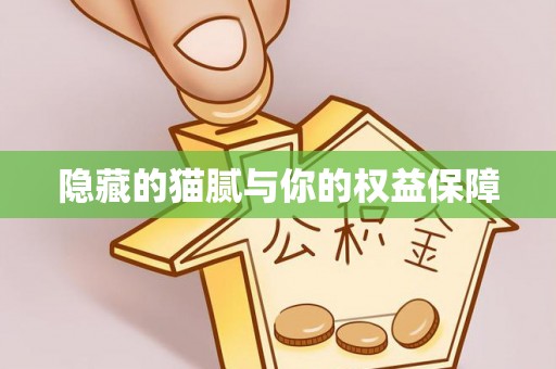 岳阳楼隐藏的猫腻与你的权益保障