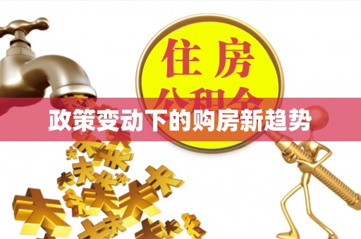 岳阳楼政策变动下的购房新趋势