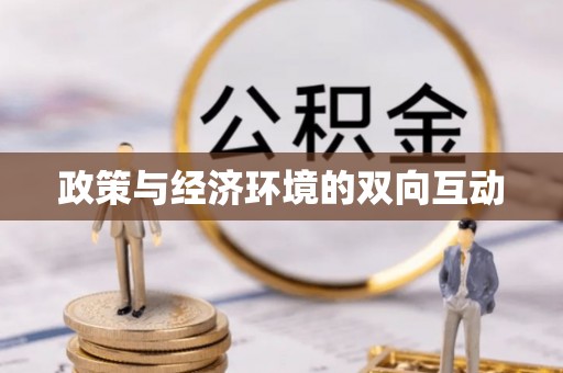 岳阳楼政策与经济环境的双向互动