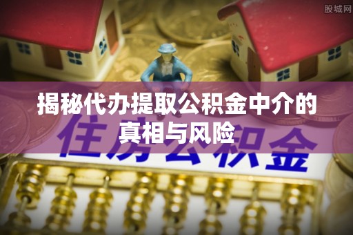 岳阳楼揭秘代办提取公积金中介的真相与风险