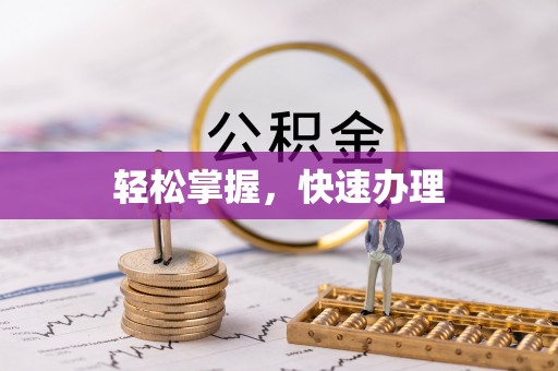 岳阳楼轻松掌握，快速办理