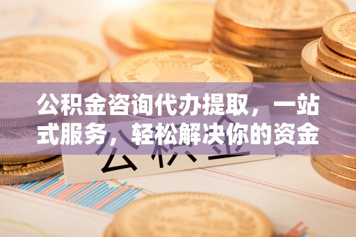 岳阳楼公积金咨询代办提取，一站式服务，轻松解决你的资金难题