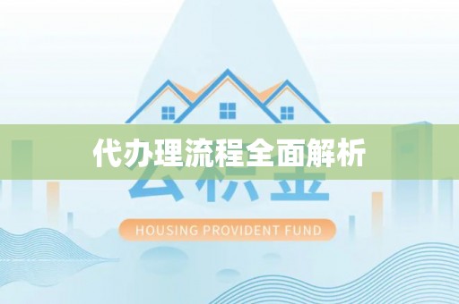 岳阳楼代办理流程全面解析