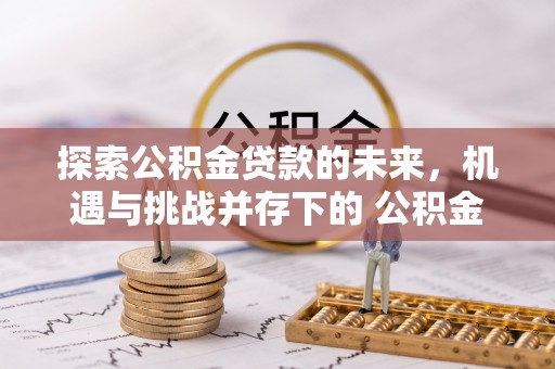 岳阳楼探索公积金贷款的未来，机遇与挑战并存下的 公积金贷款风险防控