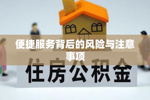 岳阳楼便捷服务背后的风险与注意事项