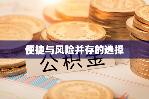 岳阳楼便捷与风险并存的选择